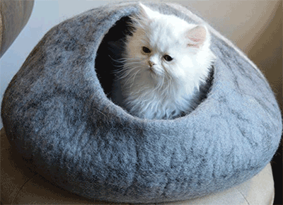 Cat-Cave-Bed