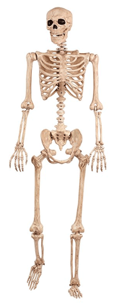 Pose-n-Stay-Skeleton